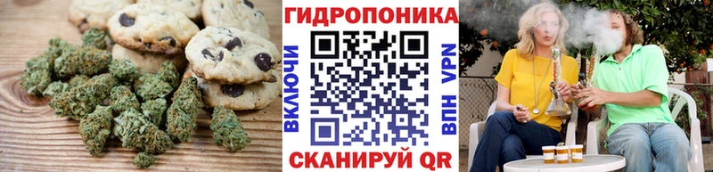 продажа наркотиков  Полярные Зори  Еда ТГК марихуана 