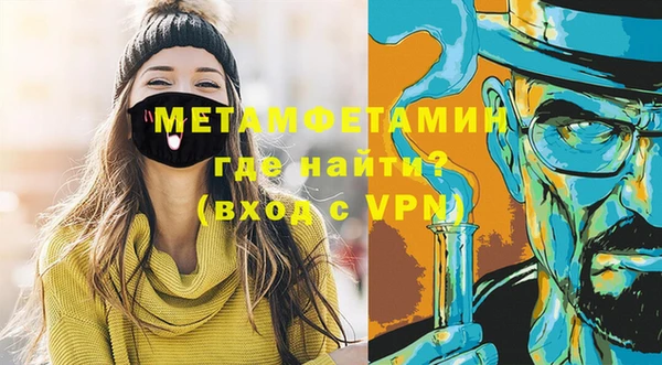 шишки Няндома