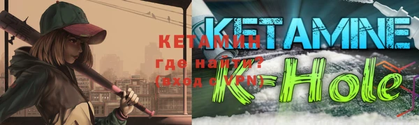 шишки Няндома