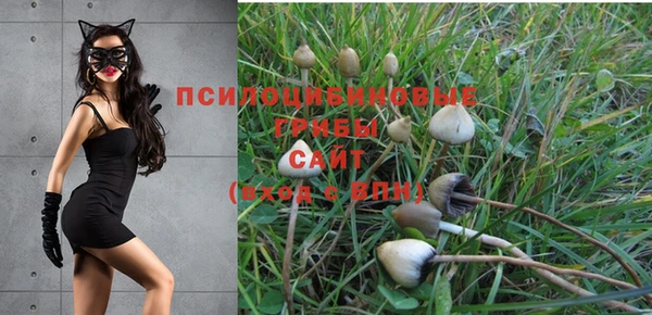 дмт Нягань