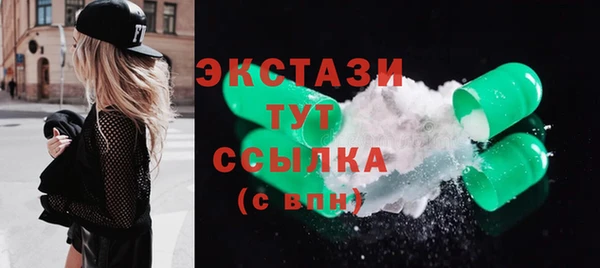 шишки Няндома