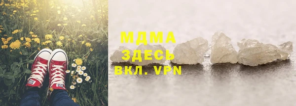 шишки Няндома