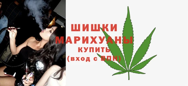 шишки Няндома