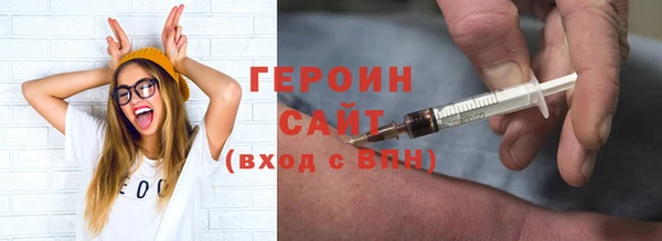 шишки Няндома