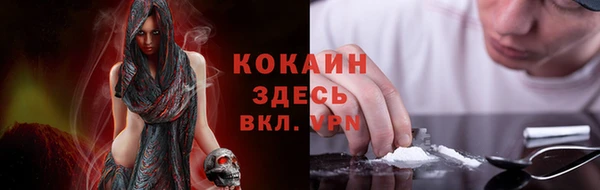шишки Няндома