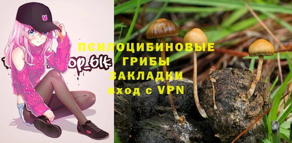 дмт Нягань