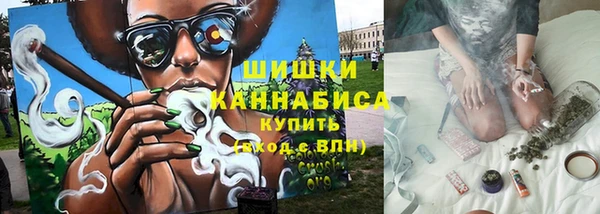шишки Няндома