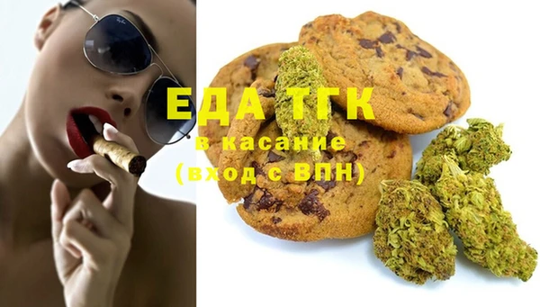 шишки Няндома