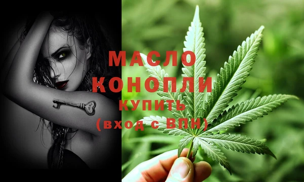 шишки Няндома