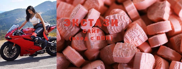 шишки Няндома
