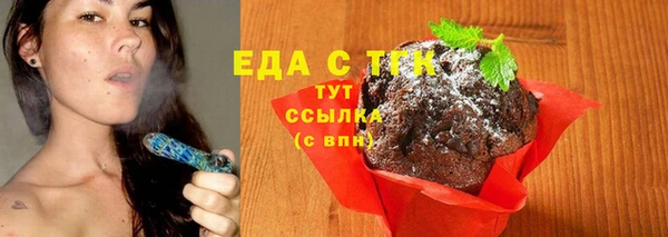 шишки Няндома