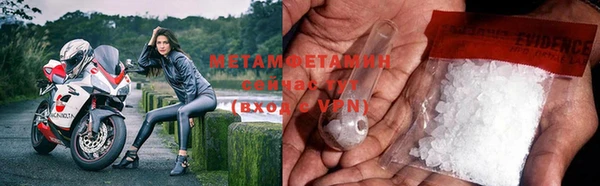 шишки Няндома