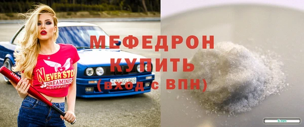 шишки Няндома