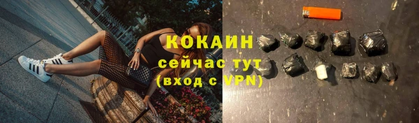 дмт Нягань