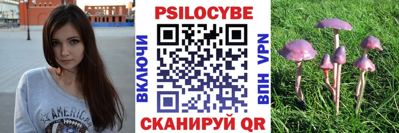 МЕГА как зайти  наркота  Полярные Зори  Галлюциногенные грибы мицелий 