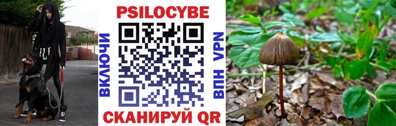 Галлюциногенные грибы Magic Shrooms Полярные Зори